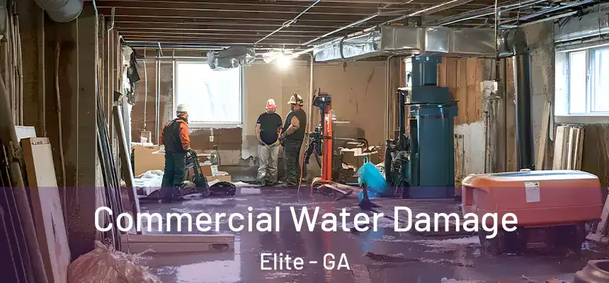 Commercial Water Damage Elite - GA