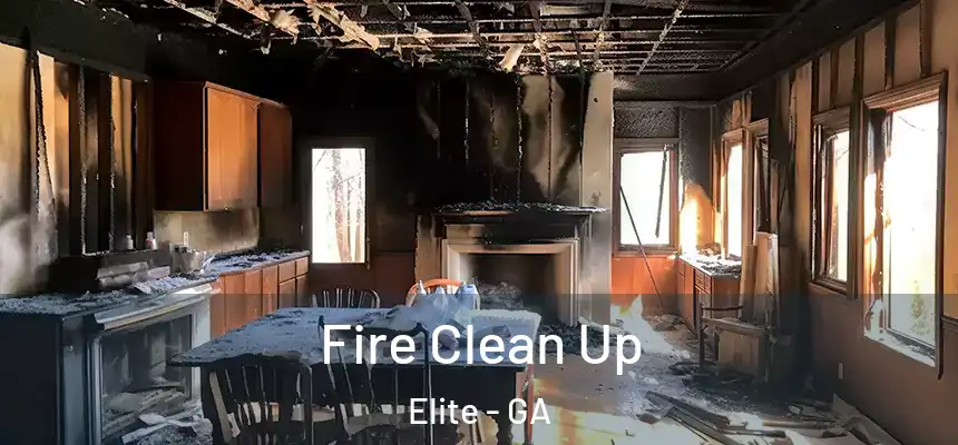 Fire Clean Up Elite - GA
