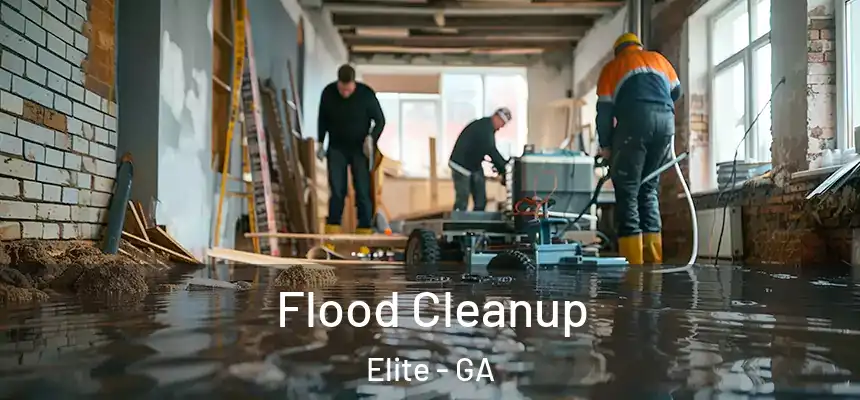  Flood Cleanup Elite - GA