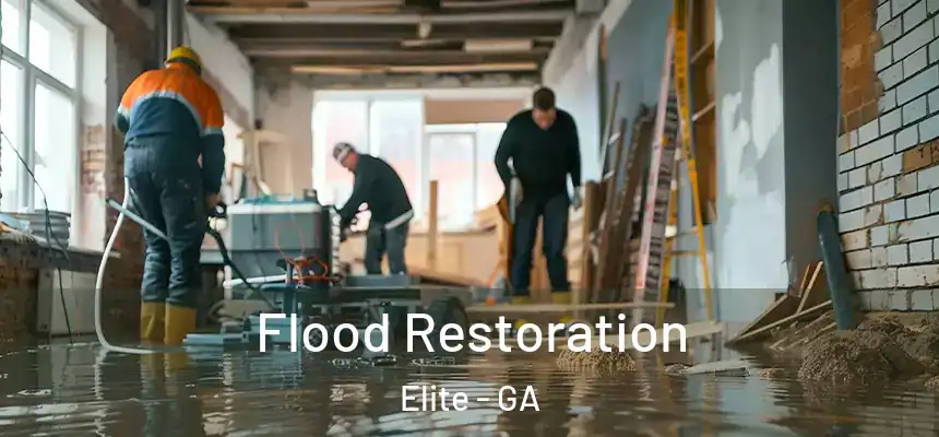 Flood Restoration Elite - GA