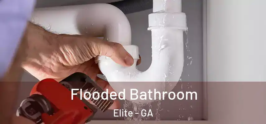  Flooded Bathroom Elite - GA