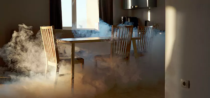 Smoke Cleanup Company in Elite