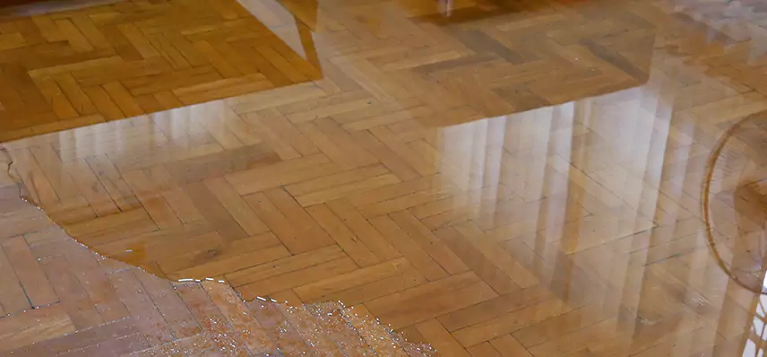 Laminate Wood Floor Water Damage Repair in Elite