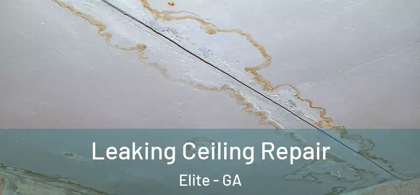  Leaking Ceiling Repair Elite - GA
