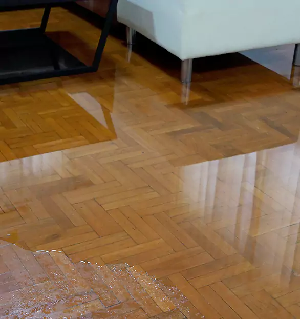 Trusted Emergency Water Restoration Company in Elite, GA