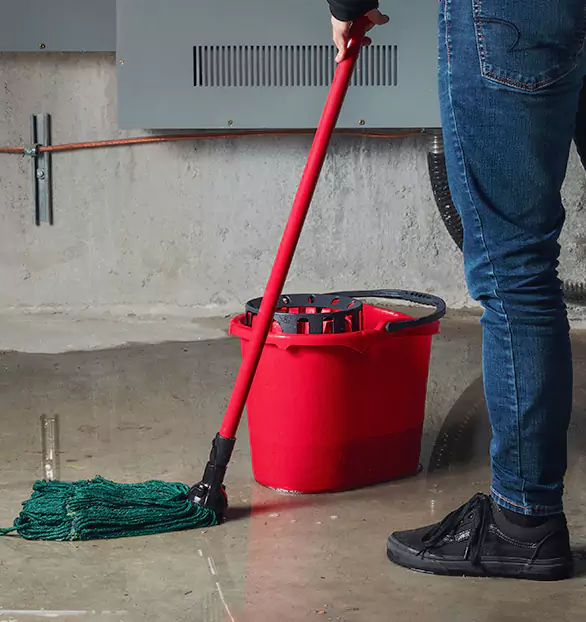 Trusted Sewage Cleanup Company in Elite, GA