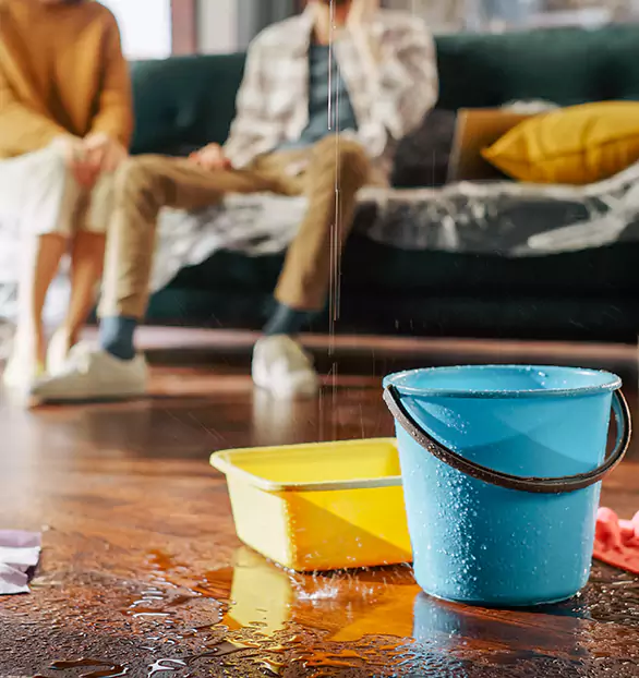 Trusted Water Restoration Company in Elite, GA