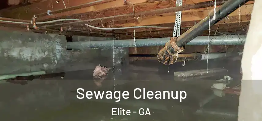  Sewage Cleanup Elite - GA