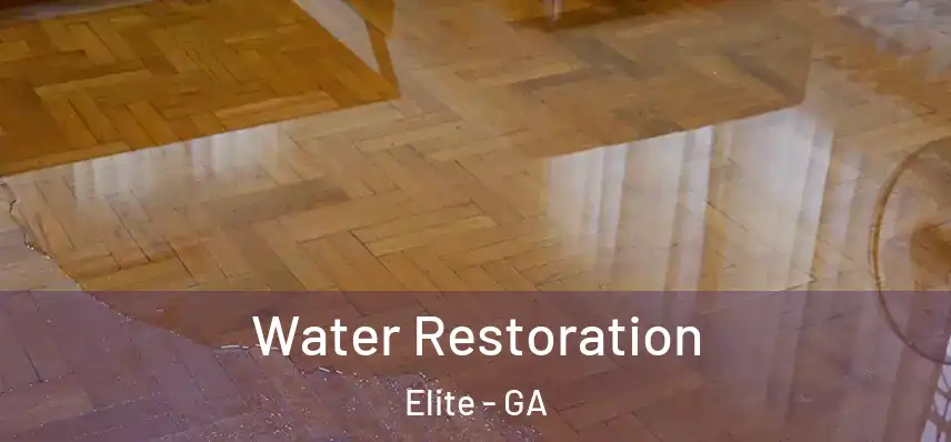 Water Restoration Elite - GA